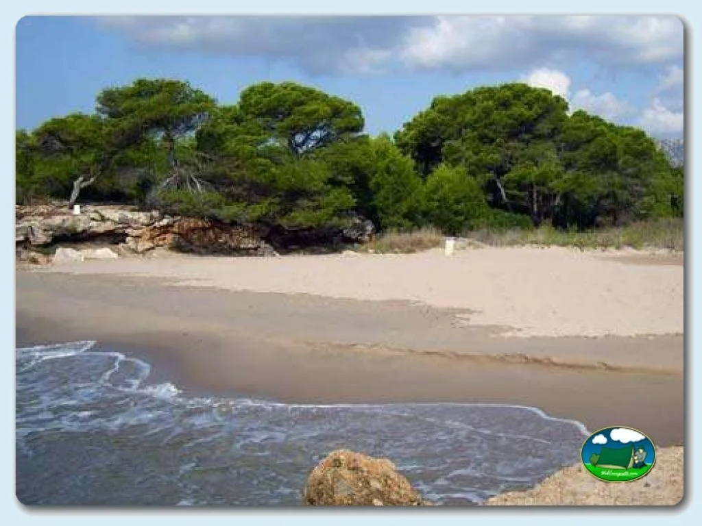 Camping Ametlla en L'Ametlla de Mar -Tarragona, Tarragona - imagen 4
