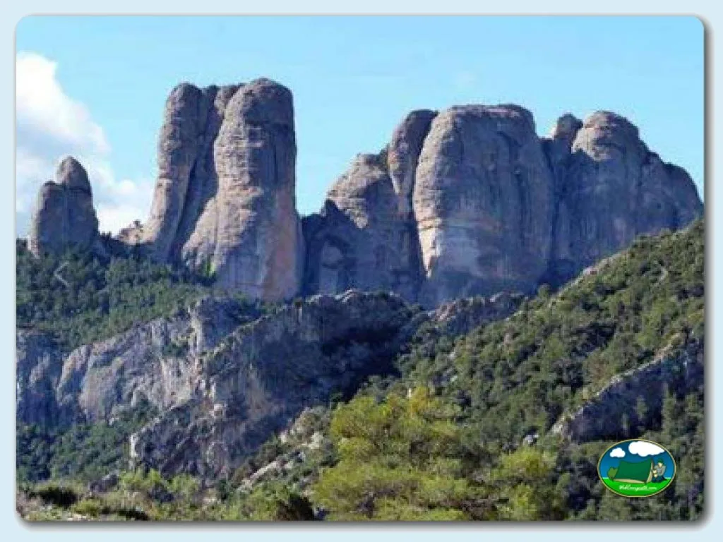 Camping Ametlla en L'Ametlla de Mar -Tarragona, Tarragona - imagen 3