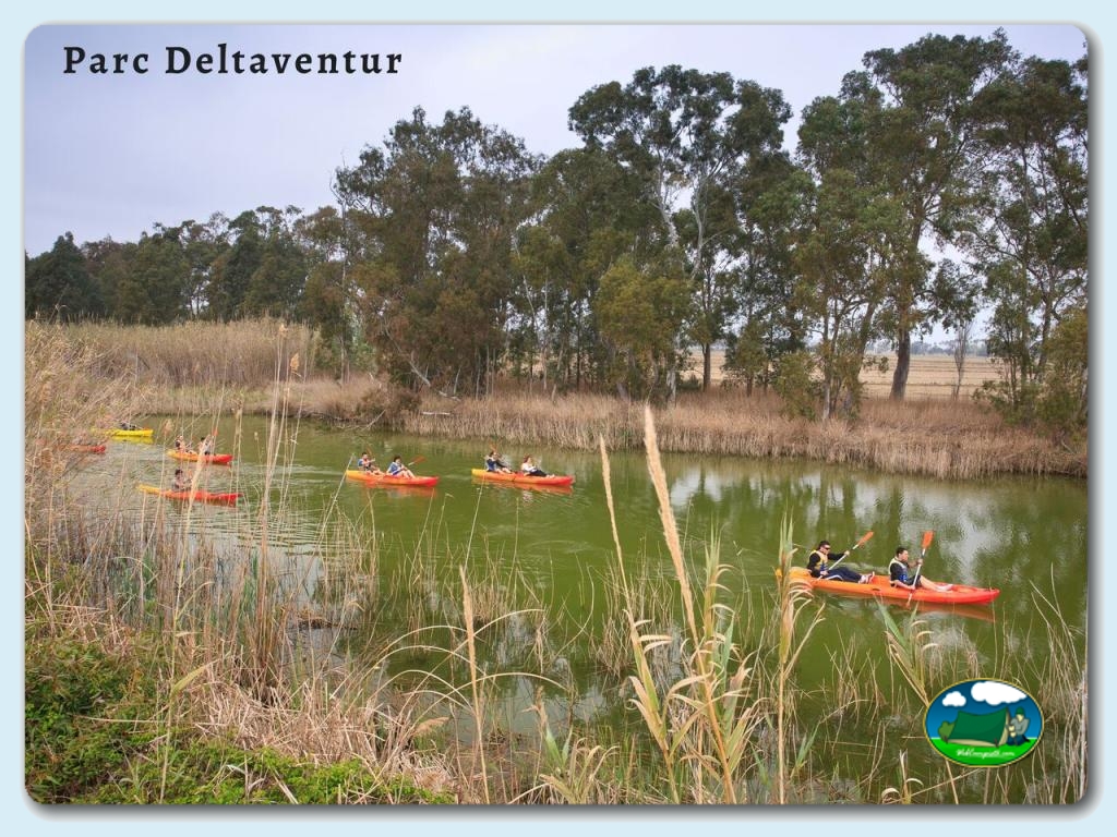 foto de Camping Capfun Aube (Deltebre) 