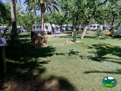 Parcela con tienda de acampada entre palmeras y árboles del Camping La Torre del Sol, Montroig (Tarragona)