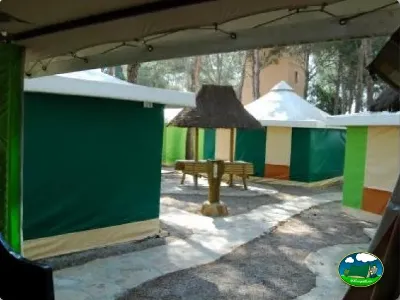 Glamping tienda de acampada con dosel del Camping La Torre del Sol, Montroig (Tarragona)