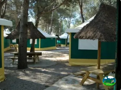 Cabaña con techo de paja entre árboles del Camping La Torre del Sol, Montroig (Tarragona)