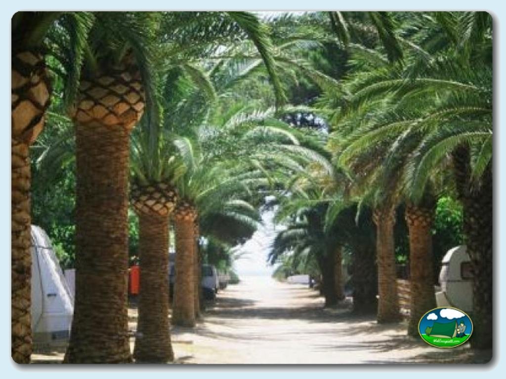 Parcelas Standart en Camping La Torre del Sol, Tarragona, España