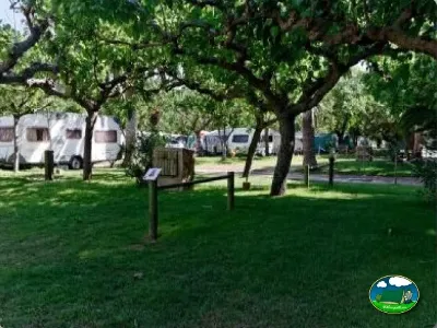 Parcela con caravana bajo árbol centenario del Camping La Torre del Sol, Montroig (Tarragona)