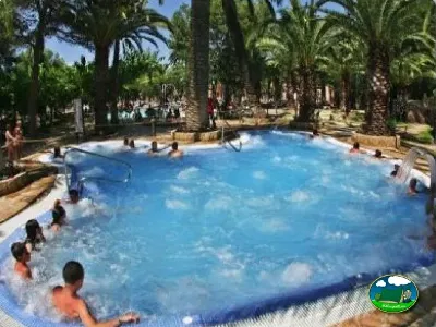 Piscina con vistas a palmeras del Camping La Torre del Sol, Montroig (Tarragona)