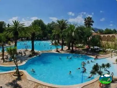 Piscina con vistas a la montaña y palmeras del Camping La Torre del Sol, Montroig (Tarragona)