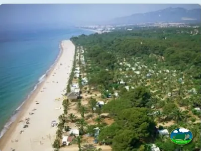 Playa junto al mar con parcelas arboladas del Camping La Torre del Sol, Montroig (Tarragona)