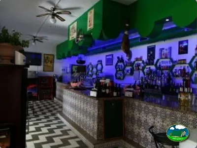 Restaurante bar con iluminación azul del Camping La Torre del Sol, Montroig (Tarragona)
