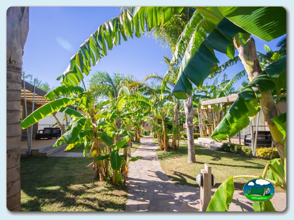 foto del camping Camping Alannia Els Prats