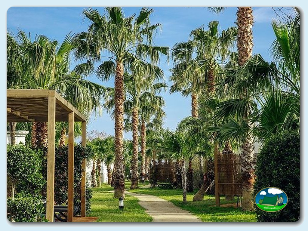 foto del camping Camping Alannia Els Prats