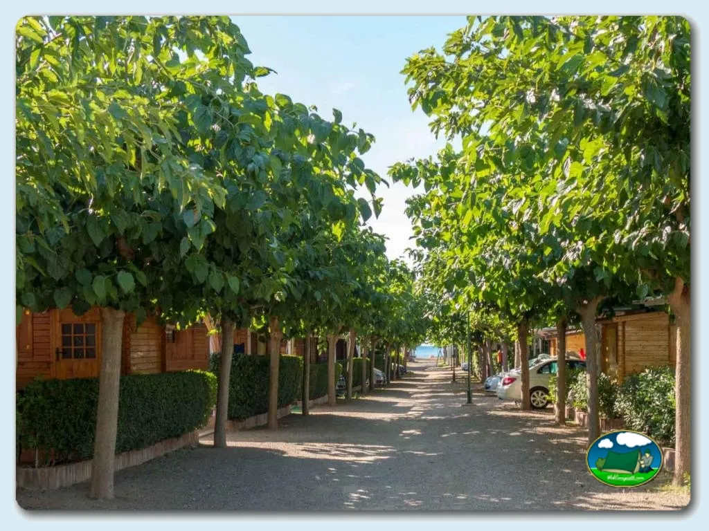 Camping Playa y Fiesta en Mont-Roig del Camp, Tarragona - imagen 3