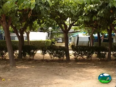 Parcela arbolada con sombra del Camping La Llosa, Cambrils (Tarragona)