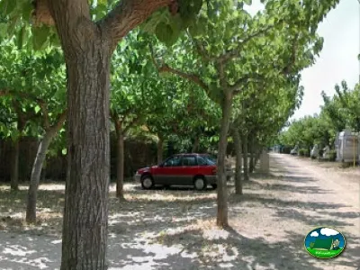 Parcela con sombra de árboles del Camping La Llosa, Cambrils (Tarragona)