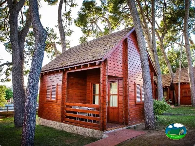 Cabaña de madera entre pinos del Camping La Llosa, Cambrils (Tarragona)
