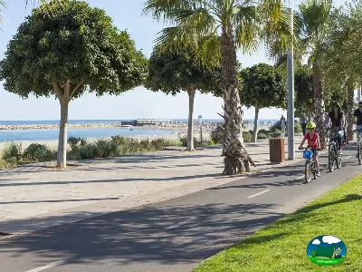 Playa junto al mar con paseo arbolado y zona de ocio del Camping La Llosa, Cambrils (Tarragona)